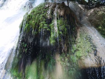 Scenic view of waterfall in forest