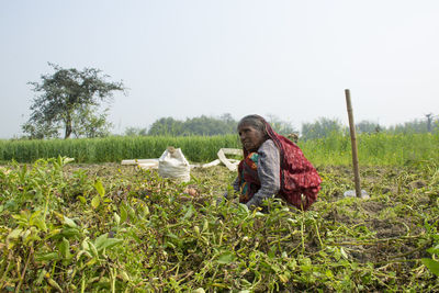 Woman working at vegetable farm