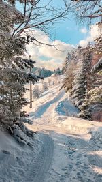 Snow covered land and trees against sky