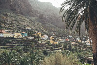 Aerial view of townscape and trees in village