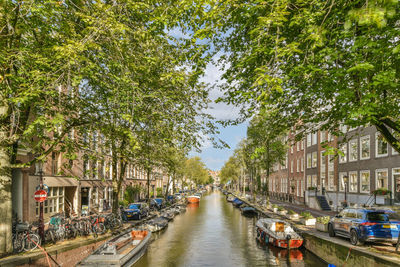 High angle view of canal amidst trees