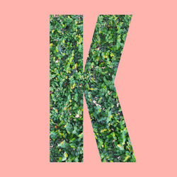 Digital composite image of plant against wall