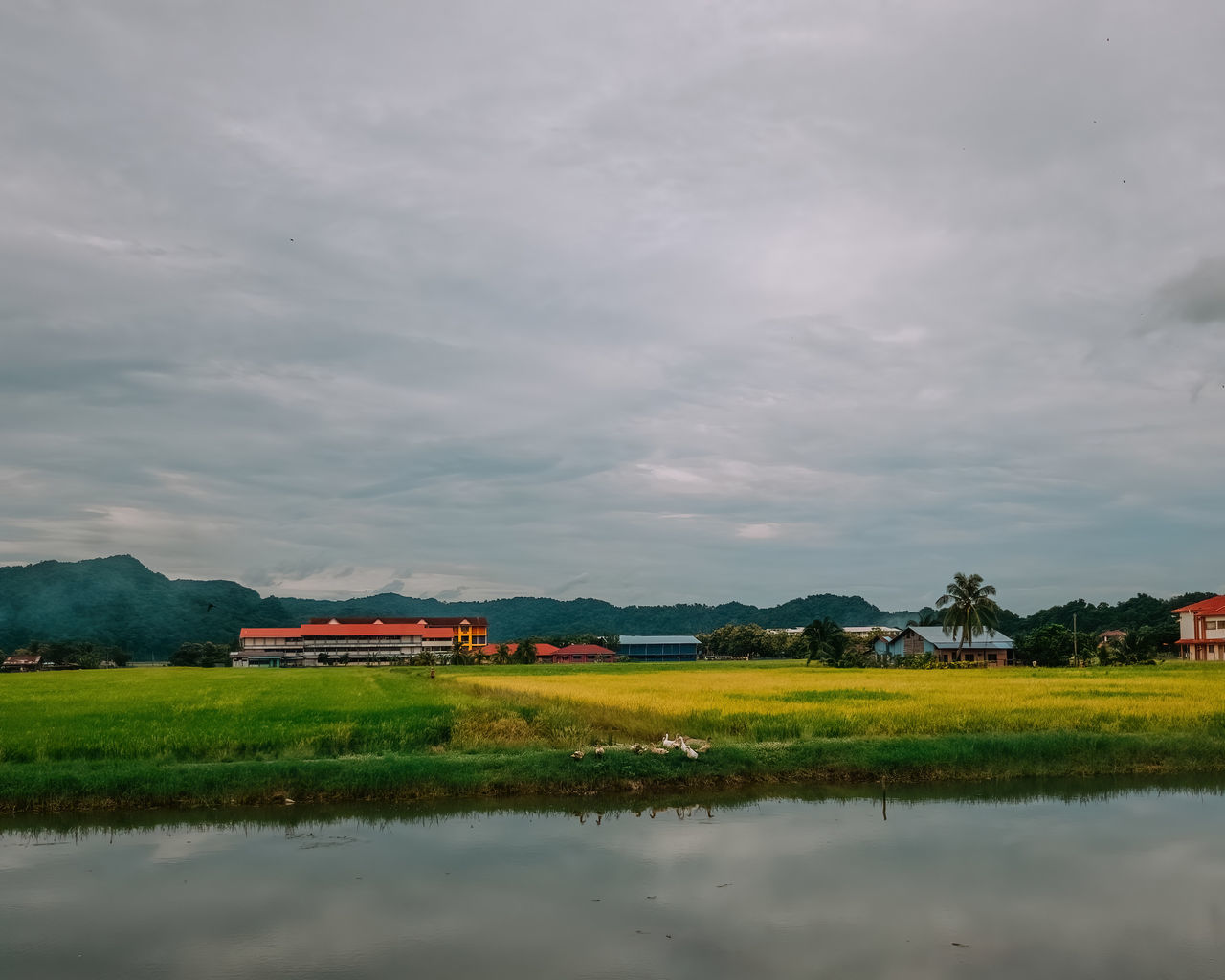 environment, sky, landscape, cloud, horizon, water, nature, building, architecture, reflection, rural scene, land, plant, scenics - nature, built structure, house, beauty in nature, field, agriculture, no people, morning, mountain, building exterior, farm, lake, tranquility, grass, outdoors, rural area, rice paddy, rice, plain, green, tranquil scene, crop, village, travel destinations, travel, paddy field, residential district, non-urban scene, day, tree