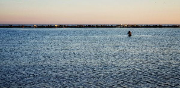 Rear view of person on sea against sky during sunset