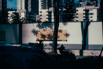 Silhouette tree by buildings in city seen through glass window