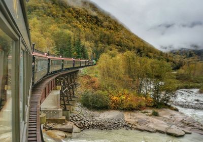 Bridge over river amidst trees against sky