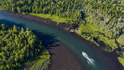 High angle view of speedboat on river amidst trees