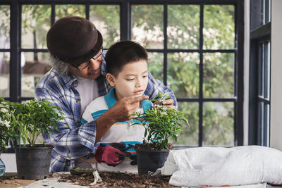 Boy and potted plants in pot