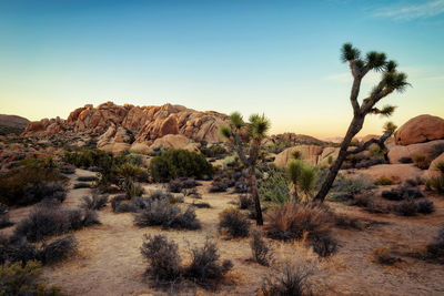 Scenic view of desert against sky