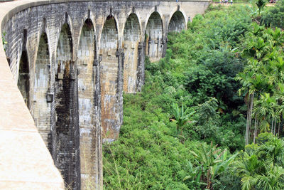 Arch bridge against trees and plants