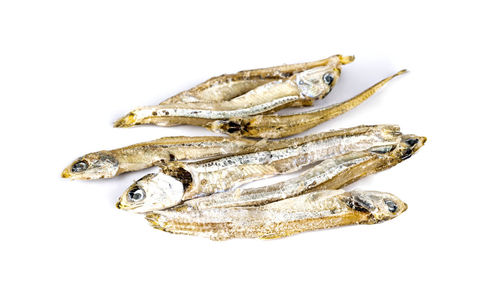 Close-up of dead fish against white background