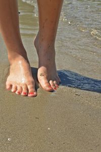 Low section of man on beach