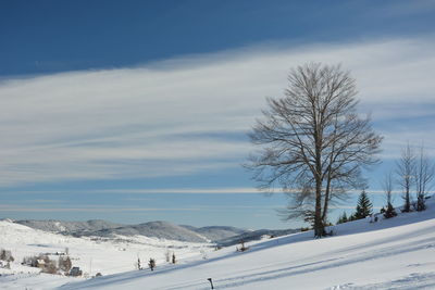 Snow covered landscape against sky