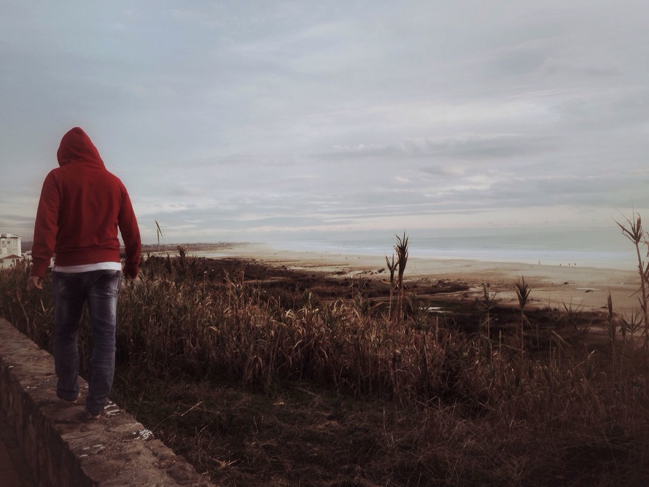 sky, tranquil scene, tranquility, landscape, leisure activity, lifestyles, standing, rear view, scenics, field, nature, beauty in nature, men, cloud - sky, person, beach, plant, remote