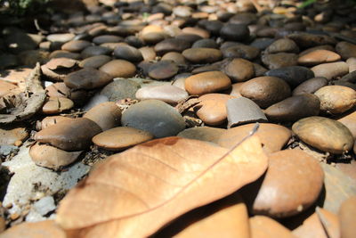 Full frame shot of pebbles