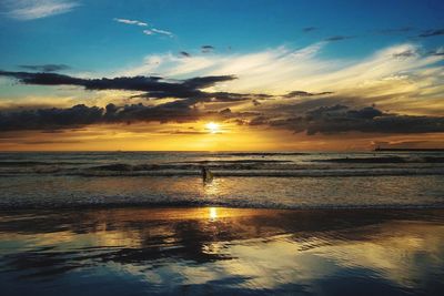 Scenic view of sunset over sea