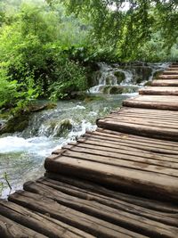 Stream flowing through a forest