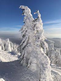 Snow covered mountain against sky