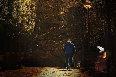 Rear view of man walking in forest