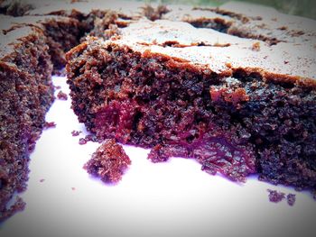 Close-up of plant against blurred background