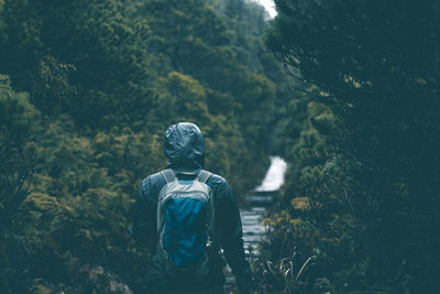 Rear view of a man in forest