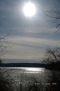 Sun shining through trees