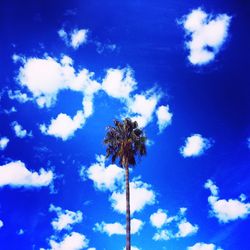 Low angle view of palm trees against cloudy sky