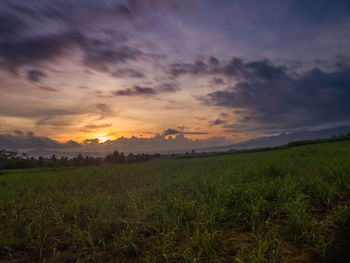 Scenic view of field against sky during sunset