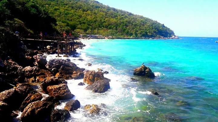 water, sea, horizon over water, scenics, tranquil scene, blue, beauty in nature, tranquility, rock - object, nature, idyllic, tree, sky, beach, rock formation, clear sky, rippled, cliff, shore, sunlight