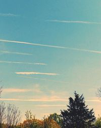 Low angle view of vapor trail in sky