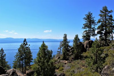 Scenic view of sea against blue sky