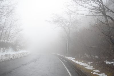 Road amidst bare trees during winter