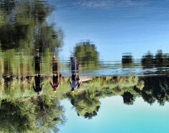 Reflection of trees in calm lake