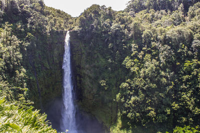 Scenic view of waterfall
