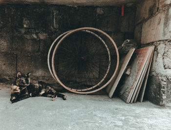 View of an abandoned bicycle against wall