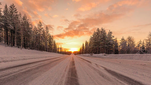 Snow covered plants against sky during sunset