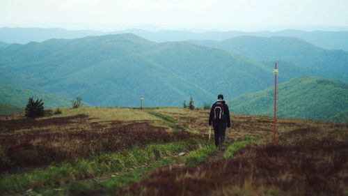 Rear view of man on landscape against mountains