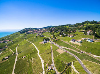 High angle view of agricultural field by sea against blue sky