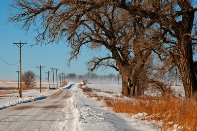 Snow covered road amidst trees against sky