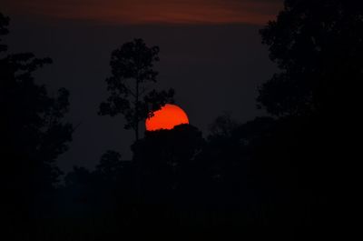 Low angle view of silhouette trees against sky at sunset