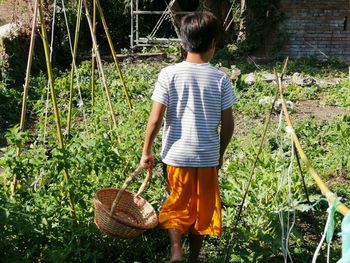 Rear view of woman standing in forest