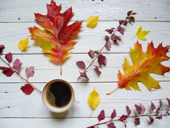 High angle view of maple leaves on table