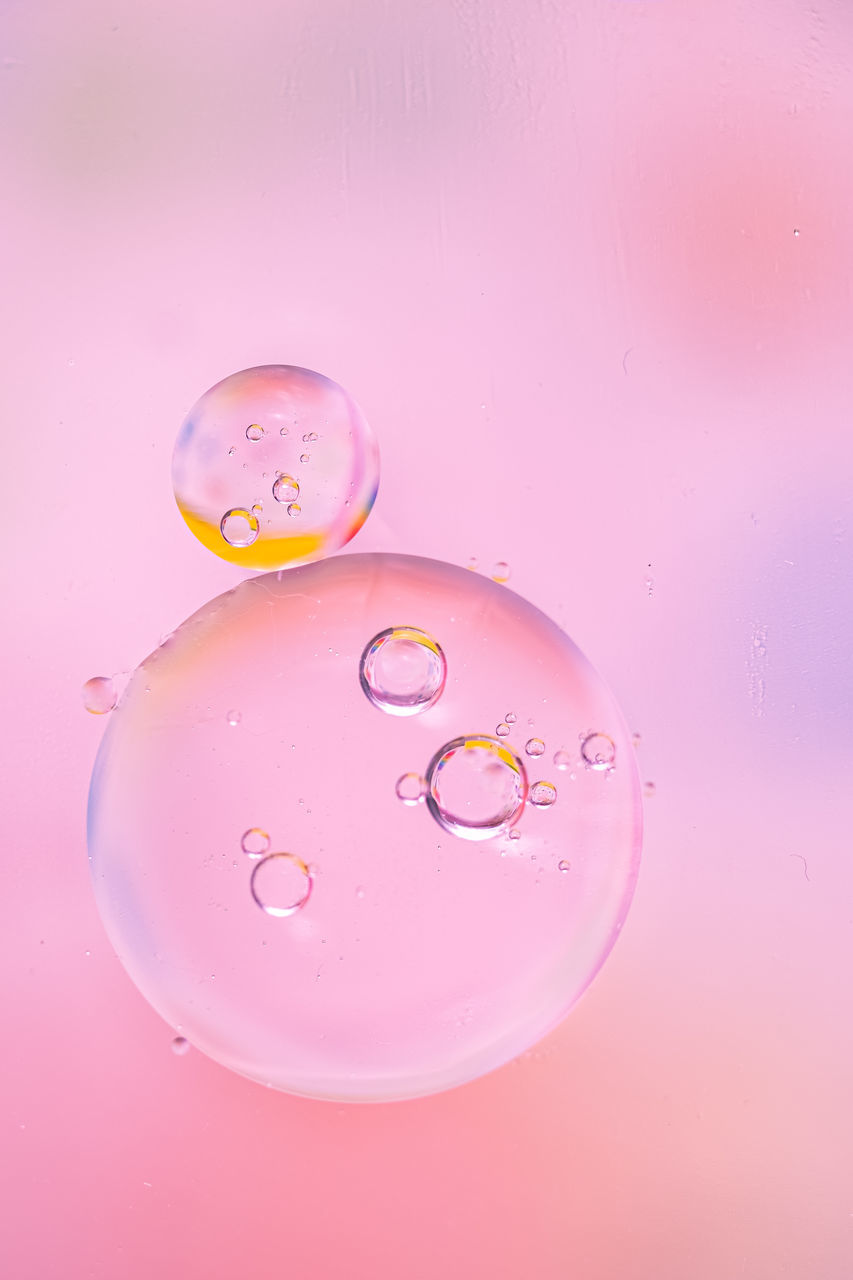 pink, colored background, drop, water, studio shot, bubble, pink background, no people, liquid bubble, indoors, geometric shape, petal, close-up, circle, nature, shape, simplicity, transparent, multi colored, backgrounds, wet, food and drink, purple, fragility