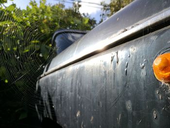 Close-up of wet car