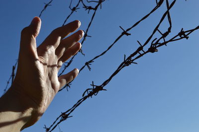 Low angle view of hand against sky