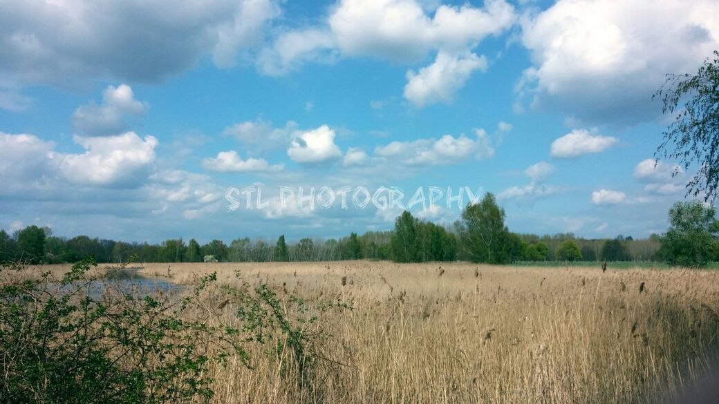 sky, tranquil scene, tranquility, cloud - sky, scenics, landscape, field, beauty in nature, cloud, grass, nature, growth, cloudy, tree, plant, rural scene, non-urban scene, idyllic, day, horizon over land