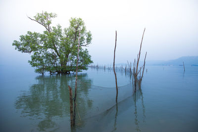 Scenic view of lake against clear sky
