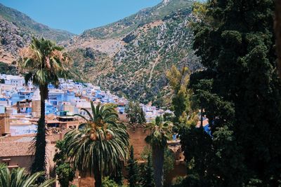 Panoramic view of trees and buildings against sky