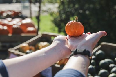 Midsection of person holding pumpkin