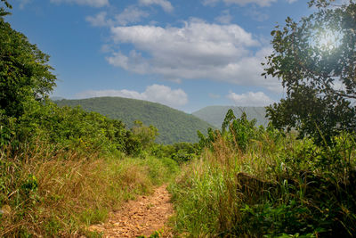 Scenic view of landscape against sky